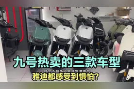 推荐九号卖的最好的三款国标车，九号正在撼动雅迪老大的位置！