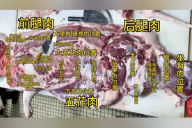 猪肉小哥分享猪肉知识！满满的猪肉各部位名称详细科普！视频封面