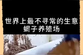 中药提取技术！视频封面