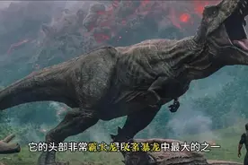 恐龙种类之一霸王龙