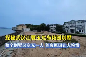 探秘武汉玉龙岛花园别墅，整个别墅区空无一人，荒废原因让人惋惜视频封面