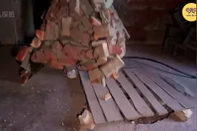 如此硬核的躲猫猫比赛，如果是你能坚持到什么时候。视频封面