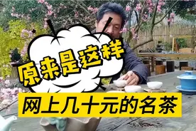 网上十多元一斤的茗茶，到底能不能喝，不得不佩服商家的营销思路视频封面