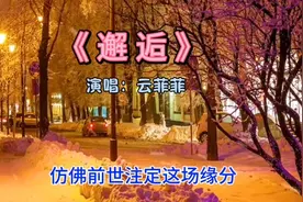 超火伤感热歌云菲菲《邂逅》，文案好棒，歌好听，超赞👍👍