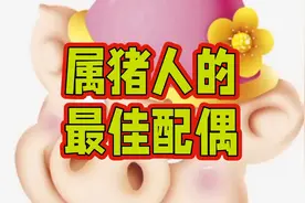 属猪人的最佳配偶，看看有哪些？视频封面