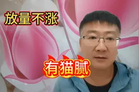 放量不涨，定有猫腻