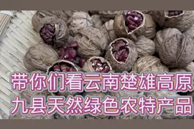 带你们我看云南楚雄高原九县城天然绿色特产品视频封面
