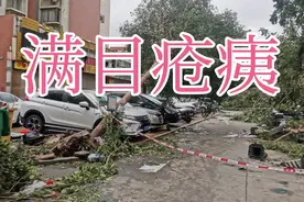 15级强台风正面登陆泉州，会造成什么结果呢？来看看……