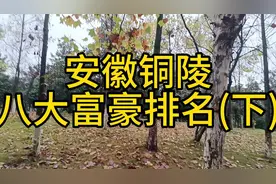 铜陵八大富豪排名(下)