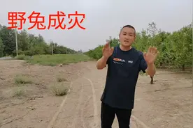 和田大枣地里野兔成灾害，有什么办法解决问题？视频封面