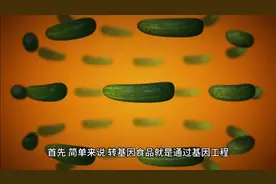 什么是转基因食品？视频封面