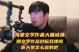 海棠文学作者大量被捕，用文学作品对标合理吗？听大哥怎么说的吧视频封面