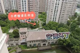 小玳姐家客厅空调不制冷，花460元加氟利昂，铁公鸡老刘一毛不拔视频封面