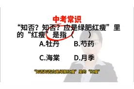 中考题:“知否，知否应是绿肥红瘦”里的“红瘦”是指什么呢？视频封面