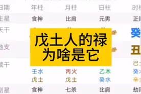 戊土人的禄，为啥是它？