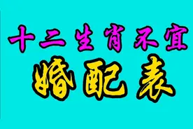 十二生肖不宜婚配表，你知道吗？快来看看吧视频封面