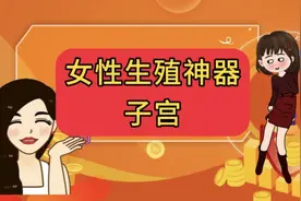 女性生殖神器——子宫