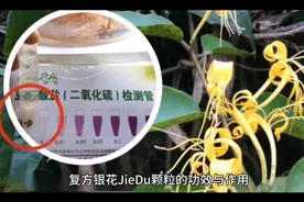 复方银花解毒颗粒的功效与作用