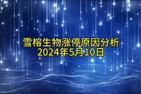 雪榕生物涨停原因分析20240510视频封面