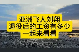 亚洲飞人刘翔退役后的工资有多少？一起来看看视频封面
