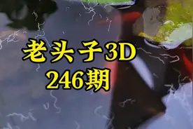 老头子3D第246期视频封面
