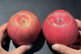 买苹果时，一定要挑“母”的，牢记这6点，挑选的苹果脆甜又多汁