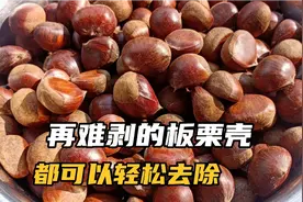 板栗剥壳难不要愁，村民只用了两个步驟，外壳内皮都能轻松去除
