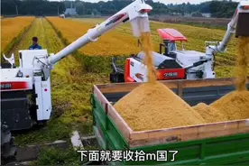 十大预言 曾老的十大预测视频封面