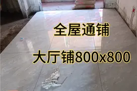 全屋通铺800x800地板，分享师傅铺砖过程试铺方式铺地板不会空鼓