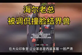 海尔老总被调侃撞脸结界兽视频封面