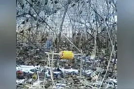 男子自制抓鸡神器，轻松捕获一只野鸡