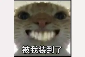 老鼠表情包，大家族，图片会放在评论区