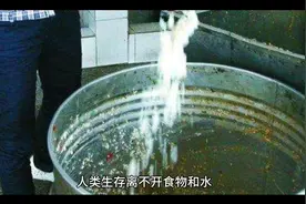 如果人不吃不喝可以活多久视频封面