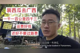 装一车西瓜去广西，运费不高一千一百公里四千三，还好不给过路费视频封面