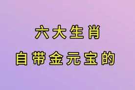 六大生肖，自带金元宝的