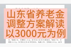 山东省养老金调整方案解读2023，以3000元退休金为例视频封面