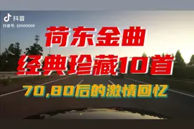 荷东猛士迪斯科珍藏版10首，70、80后的激情回忆，百听不厌的经典