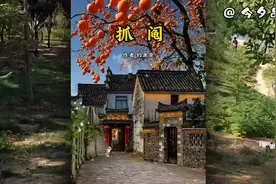 这是一篇姐妹情深感动过无数人的故事《抓阄》 作者 钓鱼哥视频封面