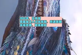 1988年36岁属龙，第三个本命年，愿上天赐我们好运，2024万事皆顺