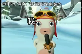 疯狂的兔子视频封面