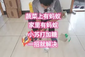 小苏打加红糖，防治蚂蚁一招就解决，蔬菜、地里有蚂蚁不妨试试视频封面