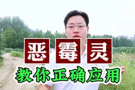 恶霉灵在农业种植中妙用！土传病害，作物根腐病黄金搭档配方！