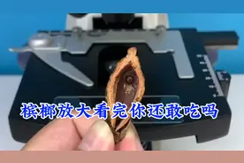 槟榔放大看完你还敢吃吗？反正我是再也不敢吃了视频封面