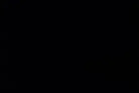 我的世界免费烦人的村民