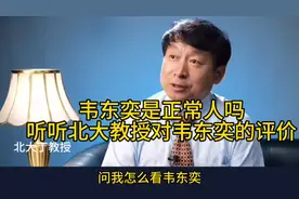 韦东奕“韦神”是正常人吗? 听听北大教授对韦东奕的评价!视频封面