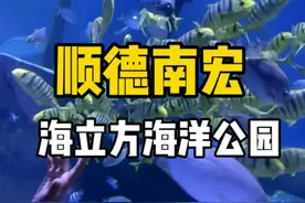 国庆不知道带娃去哪里玩的，就来顺德容桂南宏海立方海洋公园