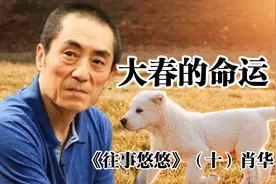 张艺谋抱回来一只小白狗，取名叫大春，后来被打断了腿，再后来…视频封面