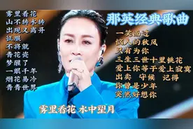 那英经典歌曲20首，实力派歌手那英，每首歌都入心分享聆听好声音