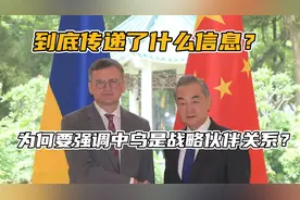 到底传递了什么信息？要强调中乌是战略伙伴关系视频封面