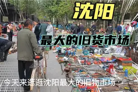 沈阳最大的旧物市场，周六周日开市，规模大，闲暇溜达好去处视频封面